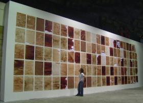 Teresa Margolles „Papeles”, 2003 r. – monochromatyczne prace na papierze nasączonym wodą z sekcji zwłok