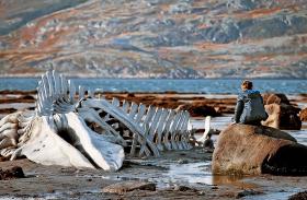 3.  „Lewiatan”, reż. Andriej Zwiagincew, prod. Rosja.