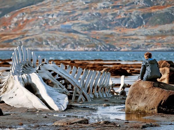 Rosja Władimira Putina oczami reżysera Andrieja Zwiagincewa
