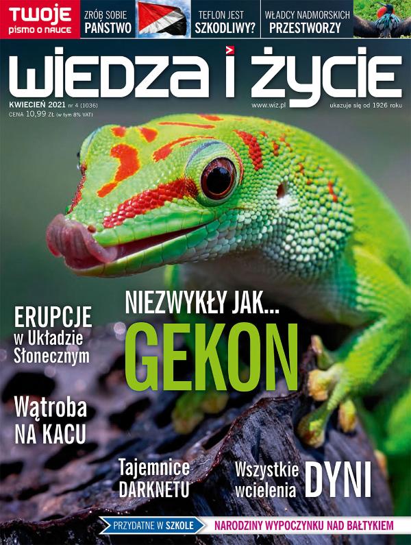 okładka wydania