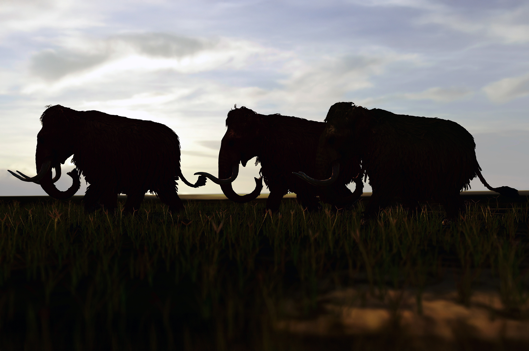 Megafauna na talerzu homininów. Hipoteza, która dzieli badaczy