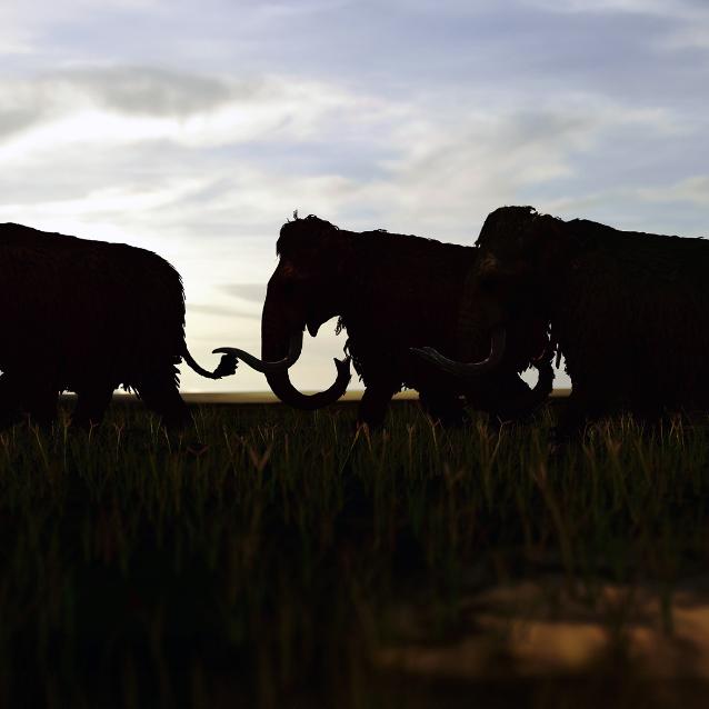 Pulsar - wyjątkowy portal naukowy.