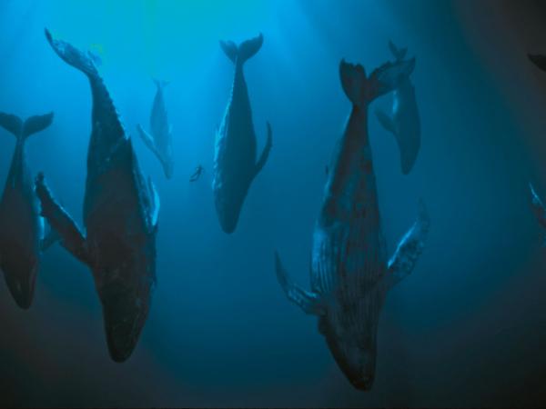 „Odwet oceanu”, reż. Barbara Eder