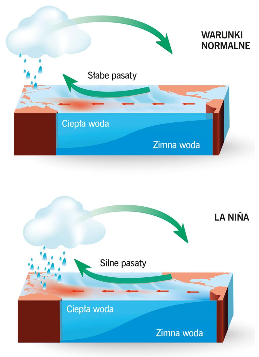 W czasie La Niña wzmagają się intensywne opady deszczu w rejonie Indonezji oraz znacząco zwiększa wypływanie zimnych wód głębinowych (upwelling) wzdłuż zachodniego wybrzeża Ameryki Południowej.