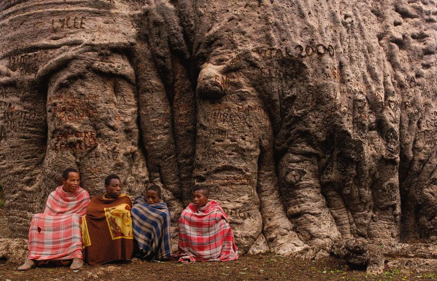 Przedstawiciele ludu Mahafaly w cieniu baobabu za. Lud ten słynie z budowy okazałych grobowców, których odwiedzanie jest zakazane.