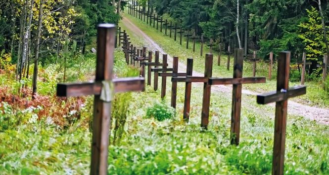 Masowe groby w podmińskich Kuropatach. Tu m.in. leżą Polacy rozstrzelani przez NKWD za rzekome szpiegostwo.