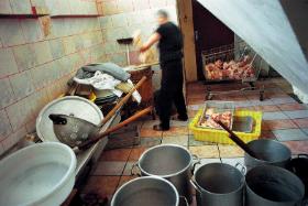 Kuchnia polska. Smród towarzyszy nawet w takich miejscach.