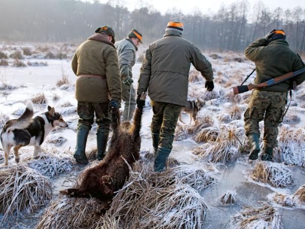 „Na Ziemi obecnie spośród wszystkich zwierząt zaledwie 4 proc. to są zwierzęta dzikie. To jest coraz bardziej dobro rzadkie. I zbyt cenne, by powierzać je myśliwym”.