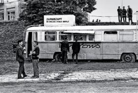 Barobus Tadeusza Korony należał do najbardziej popularnych w Krośnie punktów gastronomicznych. Handel trwał od rana do późnego wieczora. Hitem były flaczki, golonka, kiełbasa z rożna oraz – obowiązkowo – piwo.