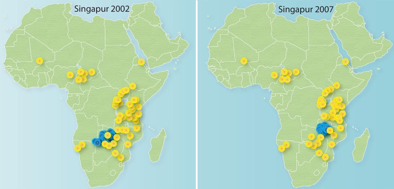 Badania DNA kości słoniowej przejętej w latach 2002 i 2007 w Singapurze pokazały, że pochodzi ona z Zambii (niebieskie kółka). Żółte kółka odpowiadają próbkom referencyjnym z całej Afryki. Źródło: „Science”