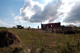 Kiedy inni są ze stadem, ktoś musi dopilnować porządku na stynie