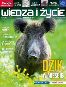 wydanie pulsar wiedza i życie