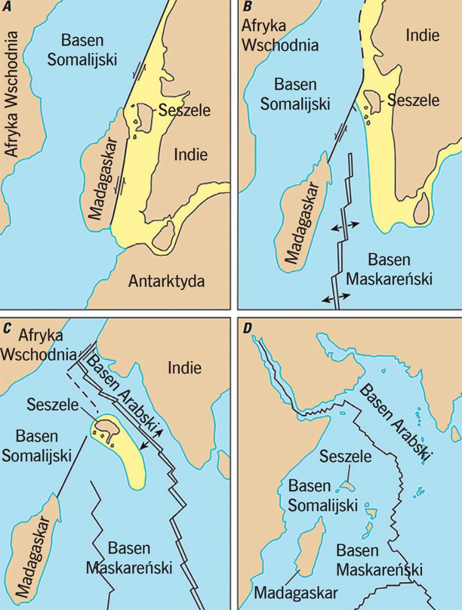 Podczas rozpadu ­superkontynentu Gondwana najpierw Afryka oddzieliła się od Madagaskaru, Indii i Seszeli (A), następnie Madagaskar oddzielił się od Seszeli i Indii (B), potem Indie powędrowały na północ, pozostawiając samotne Seszele (C). Ostatnia mapa (D) pokazuje obecne położenie lądów, które kiedyś były razem.