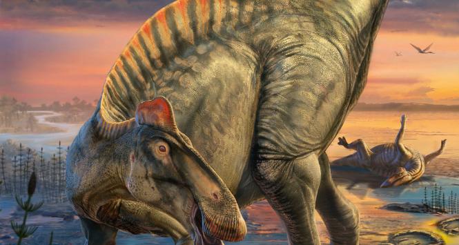 Amerykański stan Wyoming przed 66 mln lat. Na pierwszym planie edmontozaur – jeden z ostatnich przedstawicieli dinozaurów kaczodziobych.