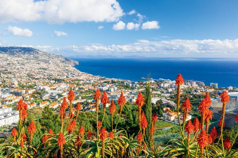 Funchal, stolica wyspy, przypomina amfiteatr schodzący ku brzegowi oceanu.