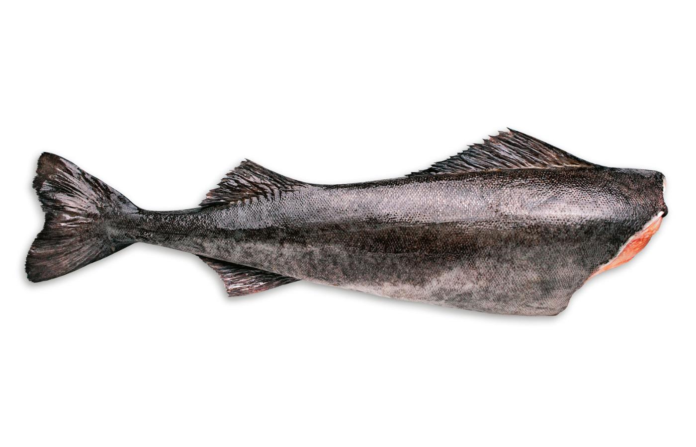 Wśród ryb „niezalecanych” znalazły się m.in. łosoś bałtycki, śledź i szprot – wszystkie trzy gatunki w postaci wędzonej.