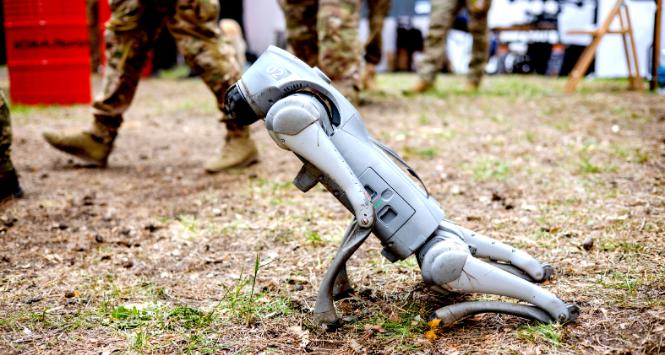 Trening ukraińskich żołnierzy z psem-robotem