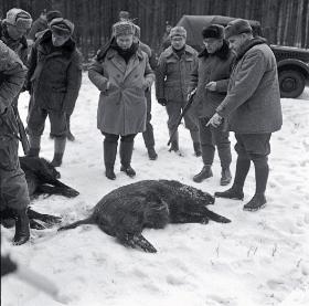 I sekretarz KC KPZR Nikita Chruszczow (w środku, z rękami w kieszeniach) z I sekretarzem KC PZPR Władysławem Gomułką (drugi od prawej) podczas polowania w województwie olsztyńskim, styczeń 1964 r.