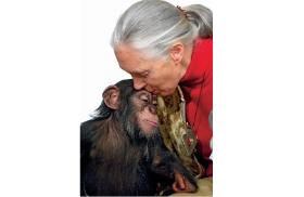 Jane Goodall