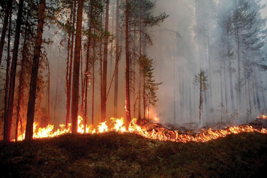 Pożar lasu w Karbole w Szwecji w lipcu 2018 roku wzmocniony przez rekordowe upały i suszę.