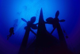 Victoria wciąż kusi nurków