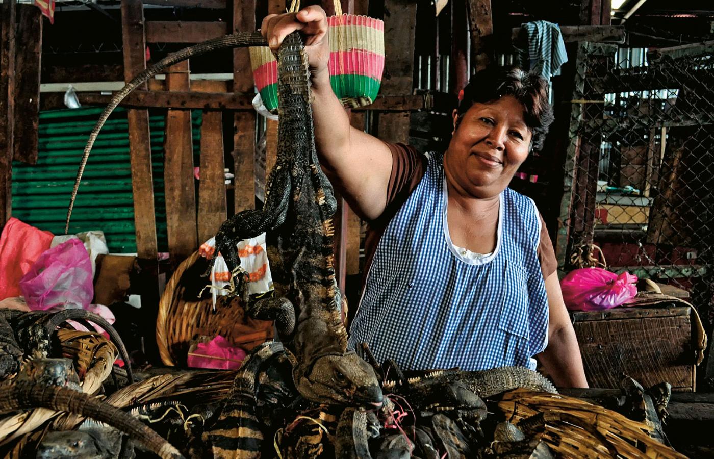 Mimo obowiązującej w Nikaragui ochrony dzikich zwierząt jaszczurki można kupić na targu nawet w stolicy kraju Managui.