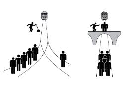 Many Labs 2 potwierdziło wyniki badań nad tzw. dylematem wagonika. Większość badanych uznała za niedopuszczalne własnoręczne zepchnięcie jednego człowieka na tory, aby zatrzymać wagonik mogący zabić pięć innych osób. Gdy mogli przestawić zwrotnicę, decydowali się na poświęcenie jednej osoby dla dobra grupy.