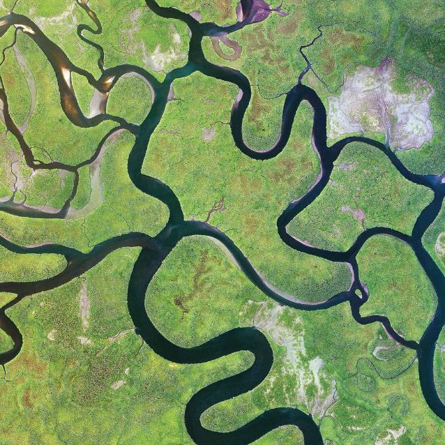 Meandrujące rzeki na jednej z wysp należących do Gwinei Bissau w Afryce Zachodniej.