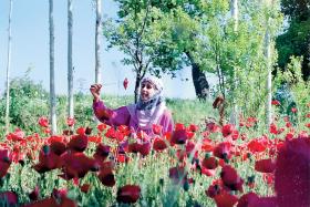 Libańska sielanka....