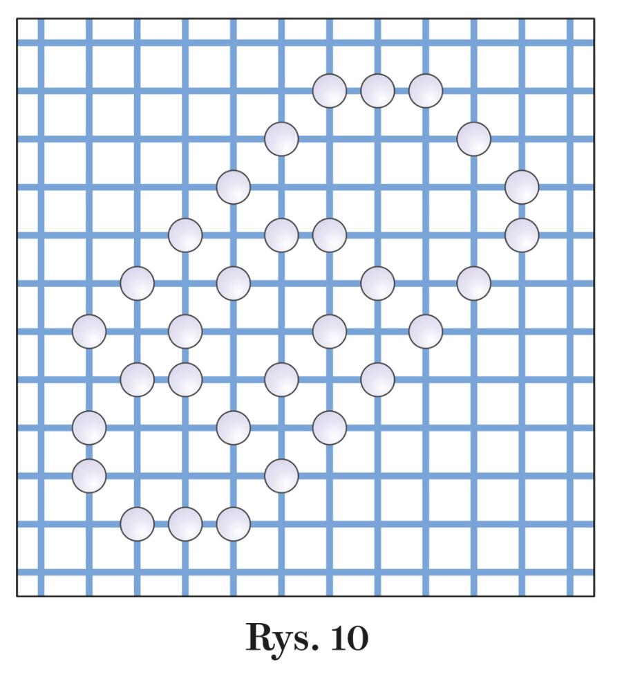 Rys. 10