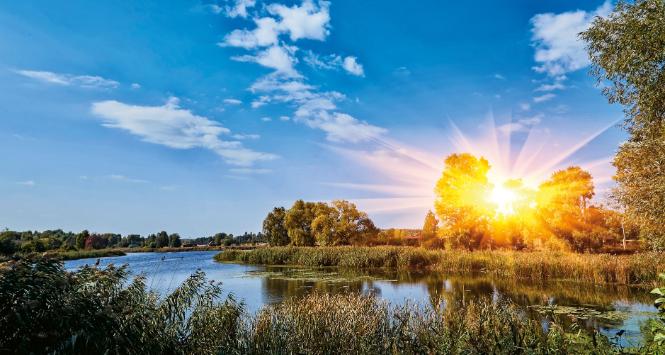Przyroda wróciła, ale na nowych warunkach. Dawne pastwiska i byłe trawiasto-turzycowe mokradła zarosły trzciną i zaroślami wierzbowymi.