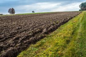 Całe polskie rolnictwo udział w PKB ma nad wyraz skromny, niewiele ponad 3 proc.