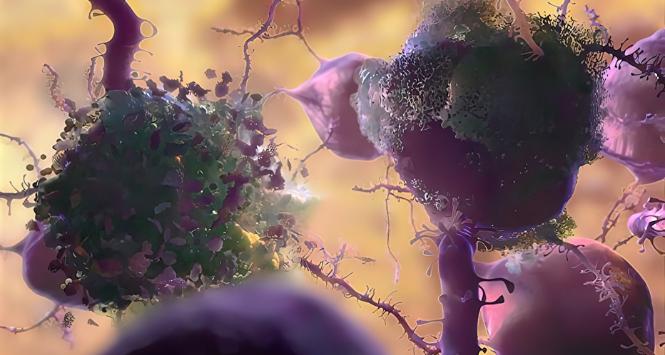 Bakterie błoNICy - walka z przeciwciałami