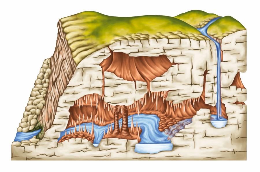 Zjawiska krasowe – widoczny lej krasowy, ­jaskinie, podziemna rzeka, stalaktyty i stalagmity.
