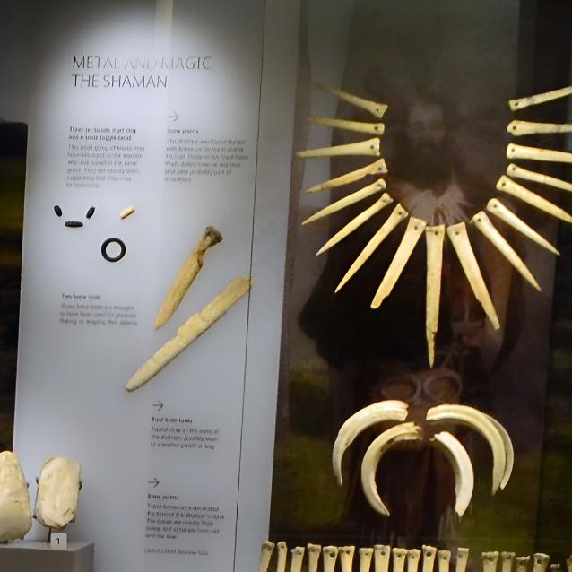 Pulsar - wyjątkowy portal naukowy.