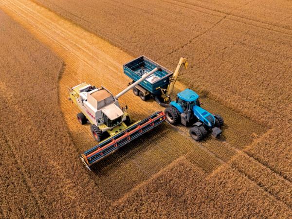 Tegoroczne globalne zbiory miały być o 2,5 proc. niższe niż przed rokiem, zwłaszcza w Europie.