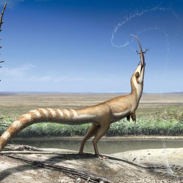 Sinozauropteryks zamie­szkiwał 125 mln lat temu bezleśne równiny.