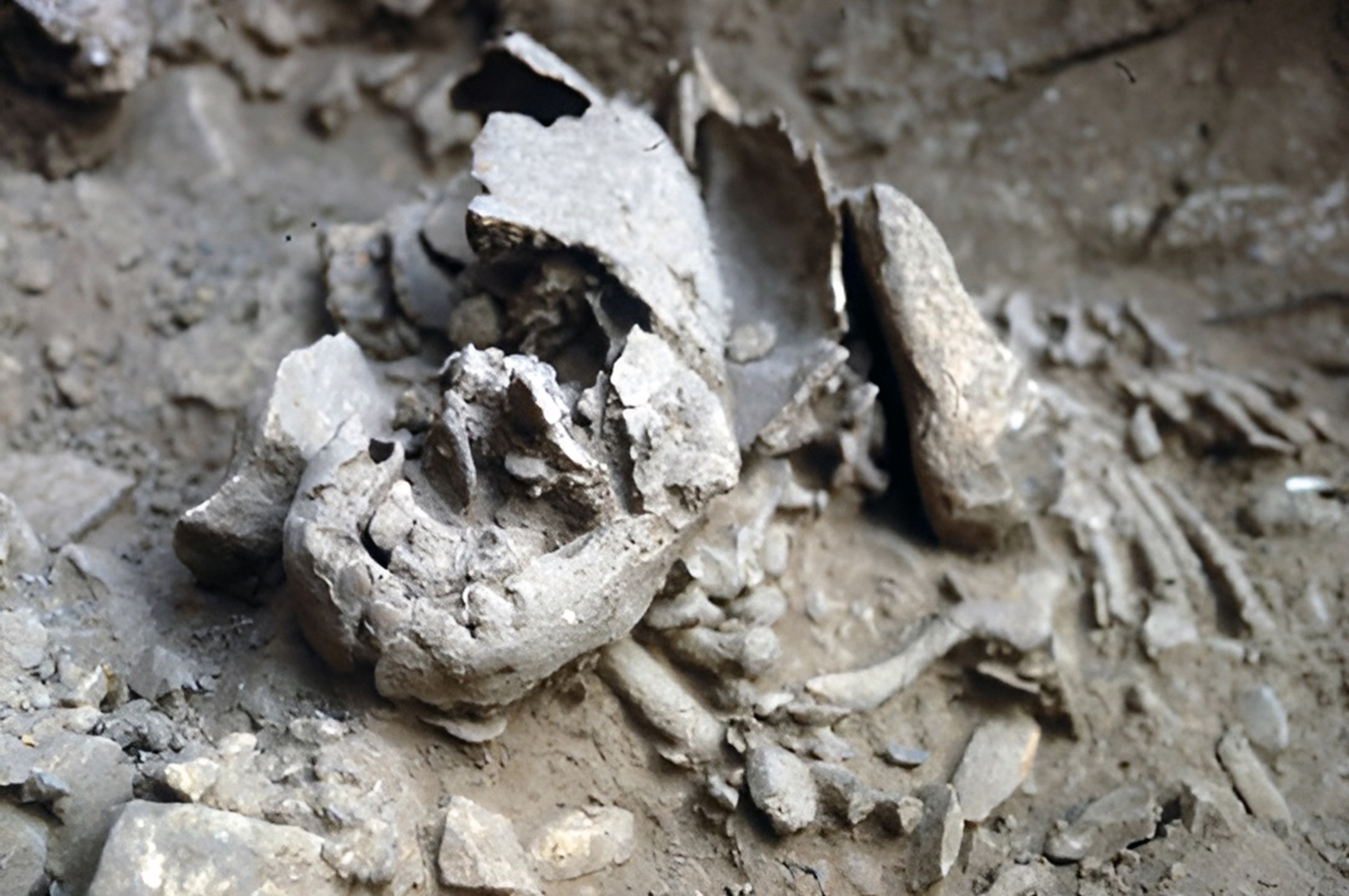 Neandertalskie niemowlaki dorastały szybciej niż my. Być może z powodu surowych warunków środowiskowych