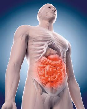 Zniszczoną mikroflorę jelit można uzupełniać nowym zestawem mikrobów pochodzących od zdrowych dawców.