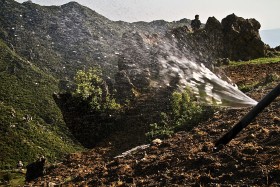 Nawadnianie pola konopi.