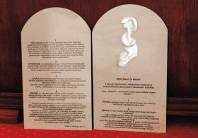 Deklaracja wiary lekarzy katolickich i studentów medycyny w przedmiocie płciowości i płodności ludzkiej