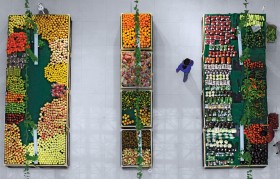 Moglibyśmy sprzedawać w świecie dużo więcej warzyw i owoców. Ale i tu import dogania eksport.