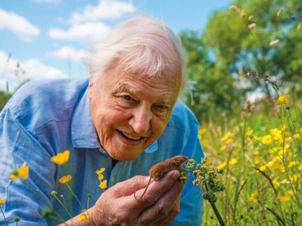 Sir David Attenborough
