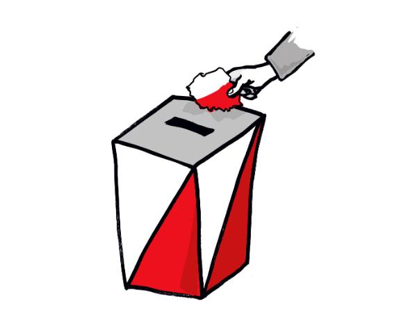 Wybory do sejmików nie zmobilizowały wyborców do 29. roku życia. Najchętniej głosowali Polacy w wieku 50–59 lat.