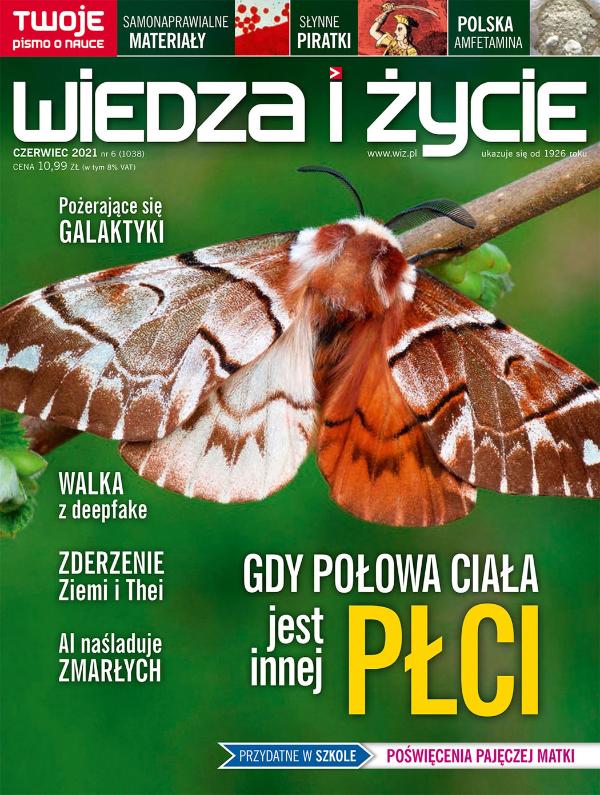 okładka wydania