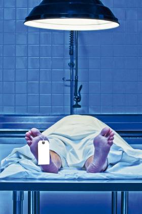 Na portalach poświęconych najgorszym lekarzom słowo „konował” pada równie często, co słowo „morderca”.