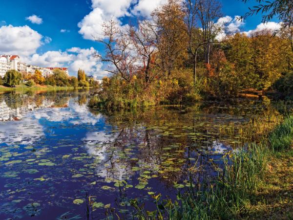 Ktoś napisał o Kamionku, że „to takie nic”, na poboczu głównego nurtu miasta.