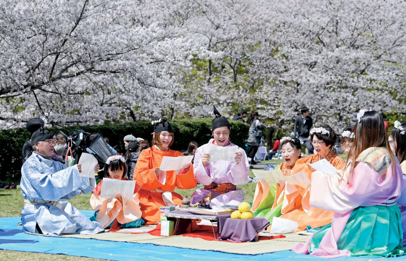Przy okazji święta sakury, czyli czasu kwitnących wiśni, powstał poemat poetycki, z którego teraz zaczerpnięto nazwę ery Reiwa.