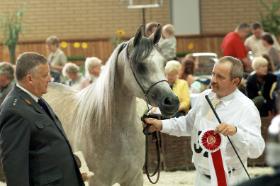 Jerzy Białobok podczas Narodowego Pokazu Koni Arabskich - Dni Konia Arabskiego w 2006 roku.