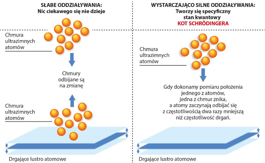 Model dyskretnego ­kryształu czasowego prof. Sachy.